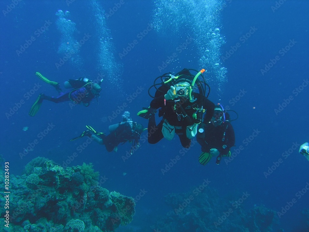 Divers on the reef