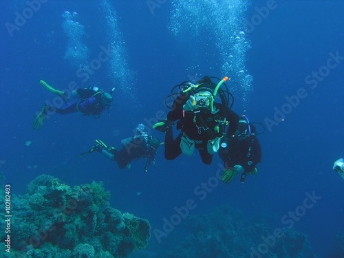 Divers on the reef © crisod
