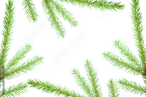 fir tree branches, christmas decoration.white background