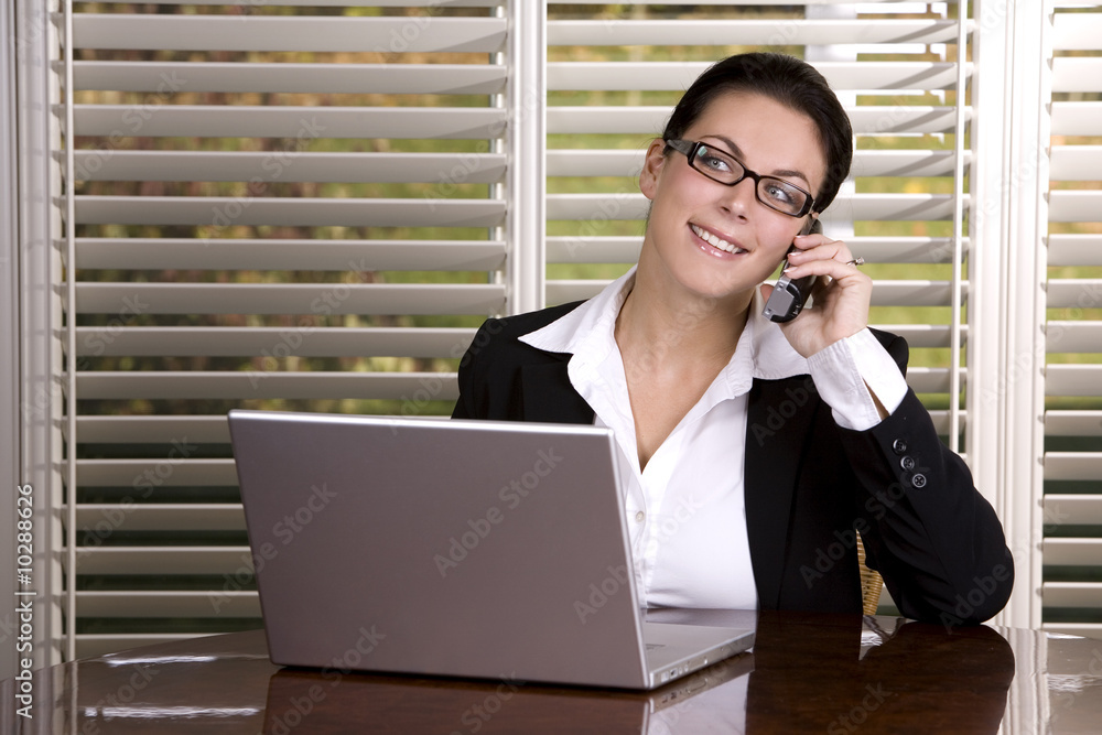 pretty business woman on the phone using laptop pretty business woman on the phone using laptop