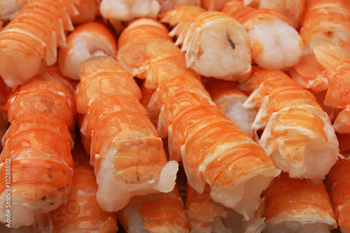 Raw uncooked lobster tails, great for backgrounds