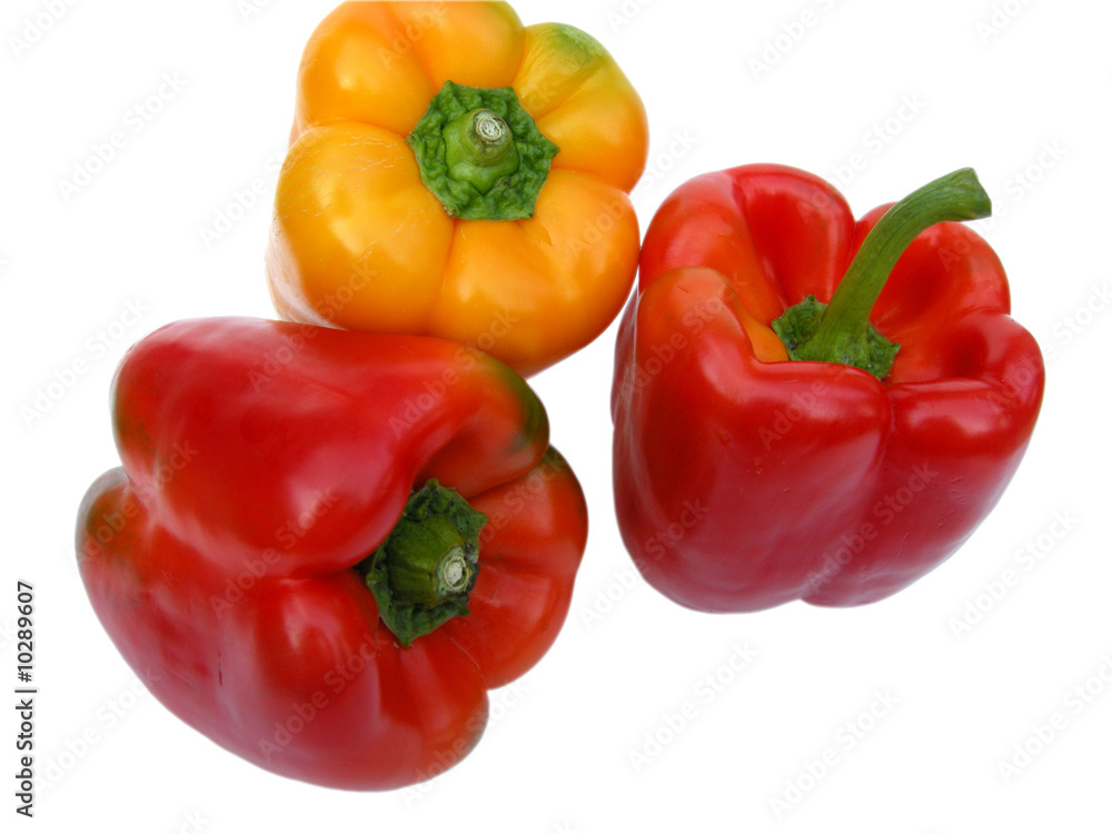 Paprika Paprika