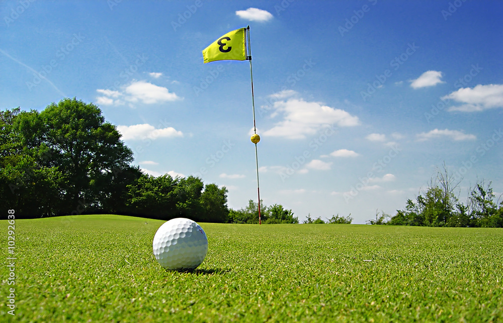 Obraz premium green de golf