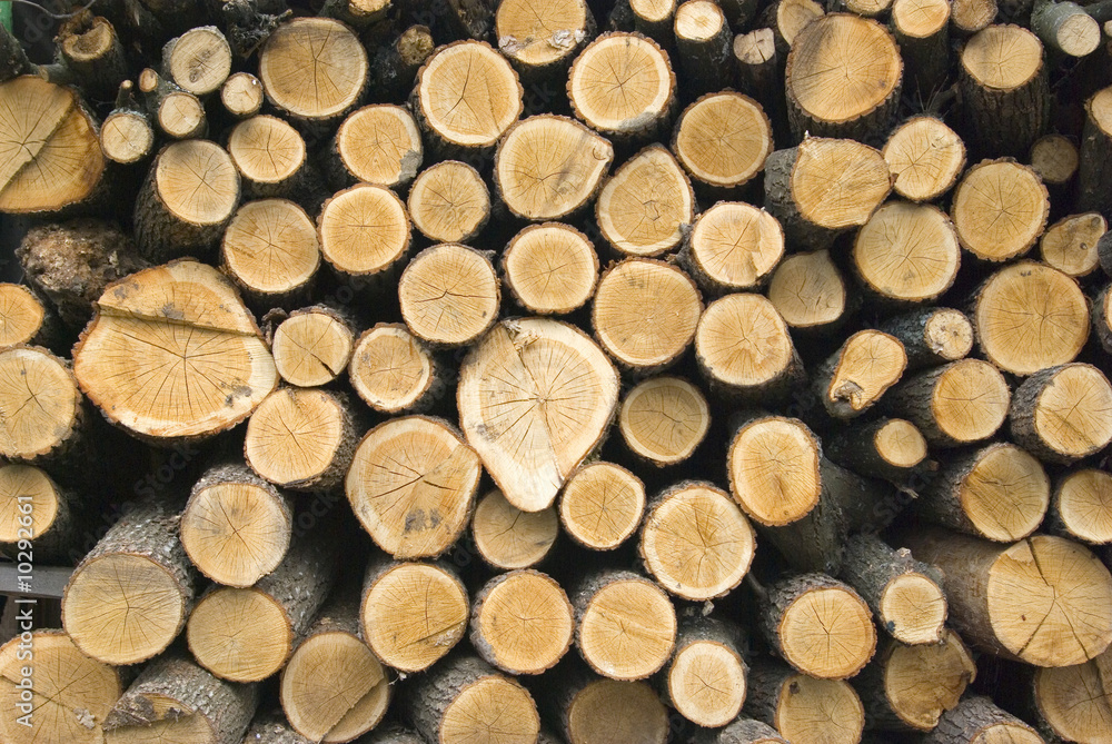 stacked timber logs ready for processing stacked timber logs ready for processing