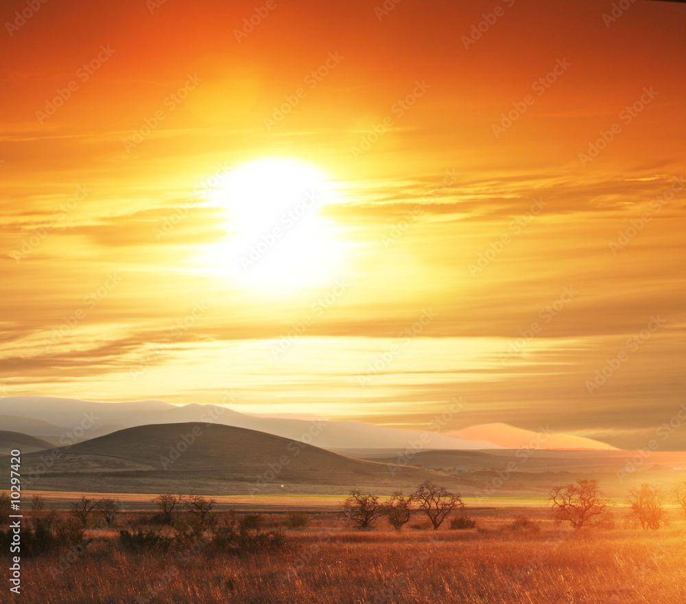 custom made wallpaper toronto digitalHills on sunset