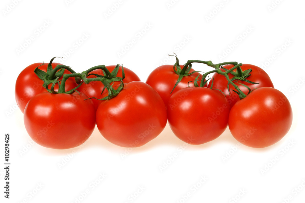 Eight fresh tomatoes - vegetables isolated on white Eight fresh tomatoes - vegetables isolated on white