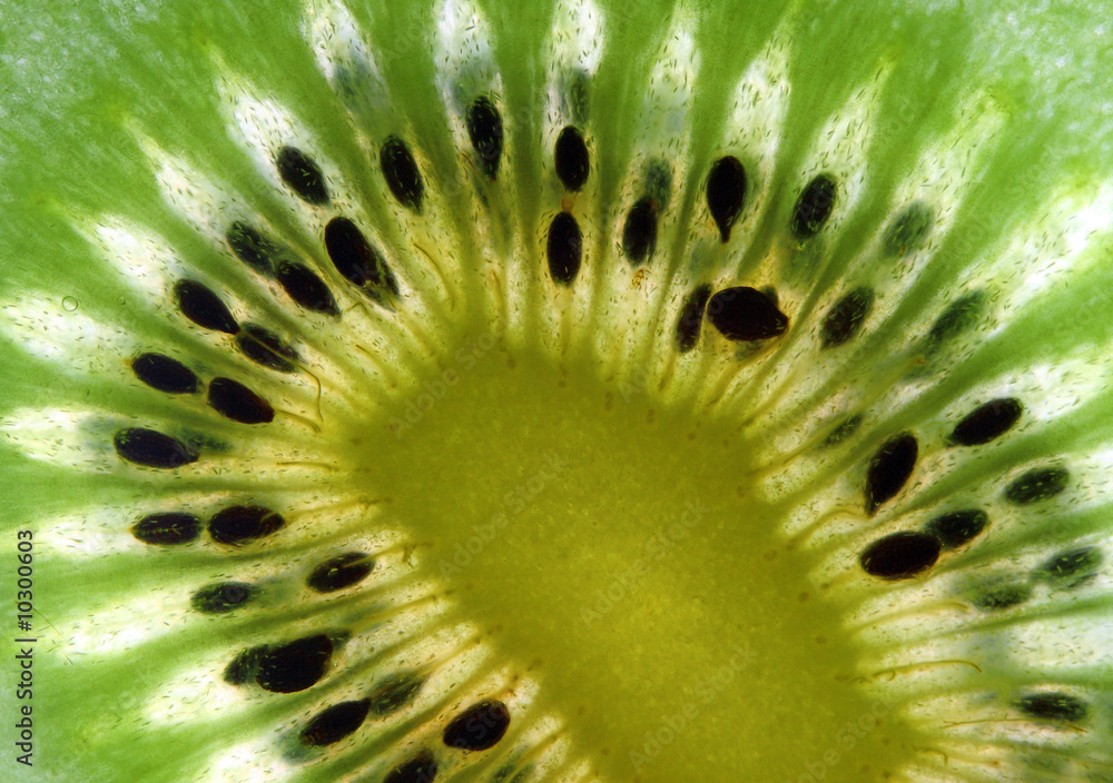 fine image close up of kiwi background detail fine image close up of kiwi background detail