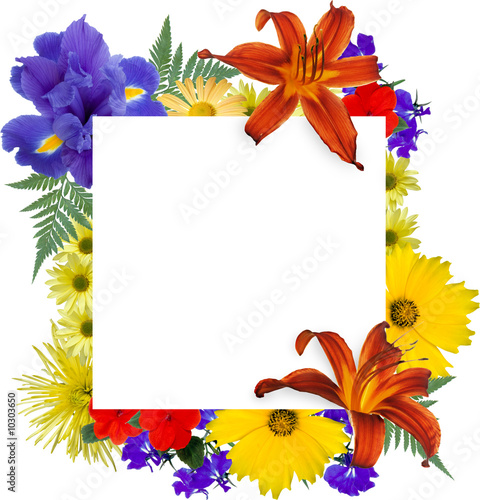 Fototapeta Naklejka Na Ścianę i Meble -  White square, framed by isolated flowers.