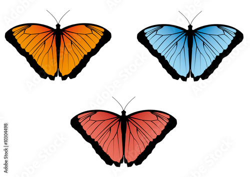 Papillon vectoriel