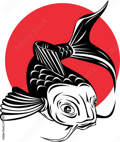 Koi carp