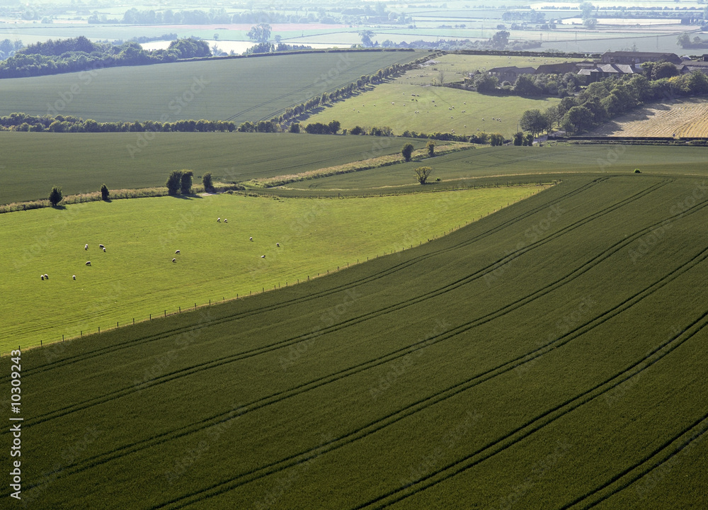 Obraz premium Buckinghamshire Chilterns