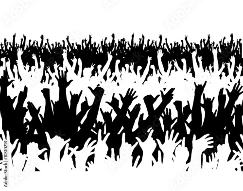 Concert crowd