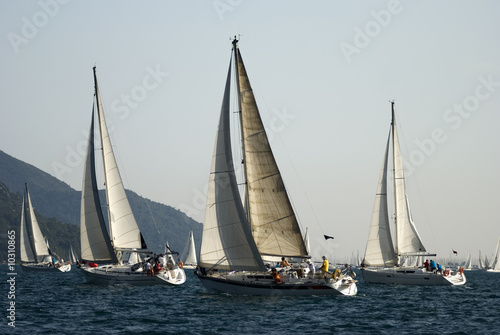 Sailboats are at race
