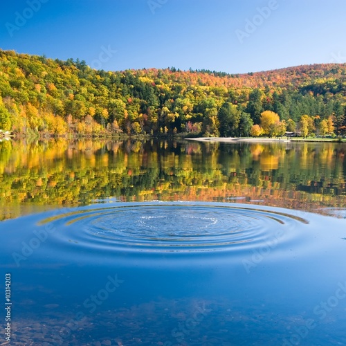 Rings of perfect waves on the smooth surface of a calm lake