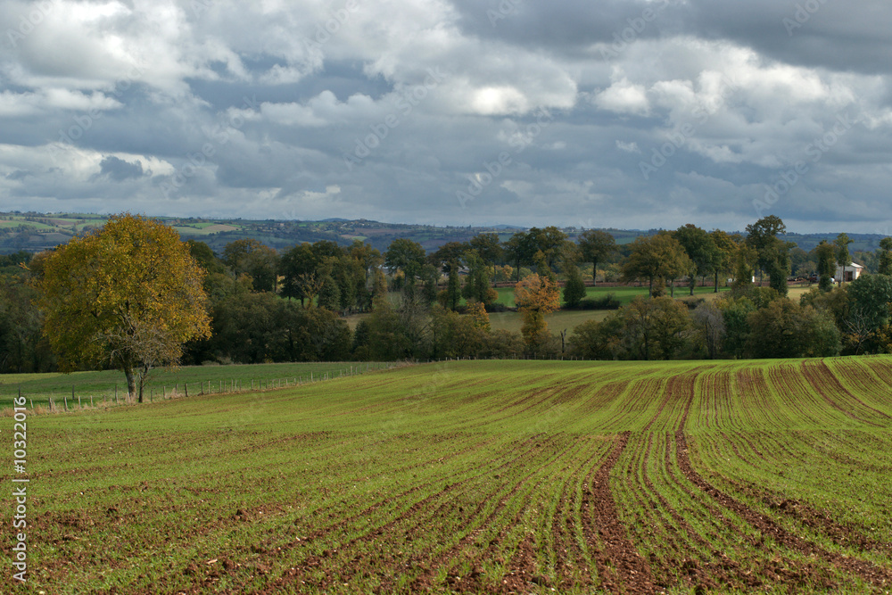 campagne d'automne
