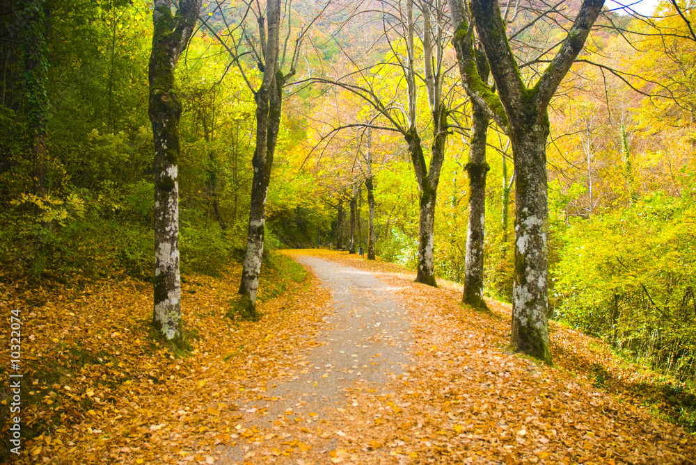 Casentinesi National Park, Emilia Romagna Casentinesi National Park, Emilia Romagna
