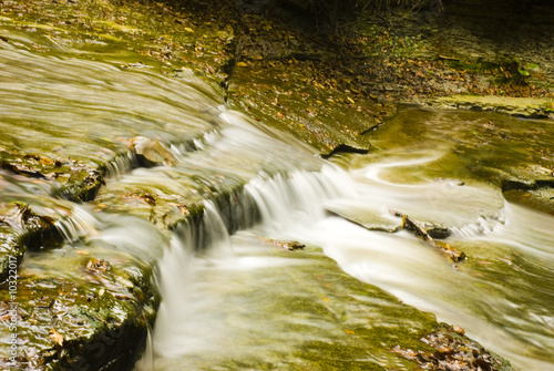 Casentinesi National Park, Emilia Romagna photo