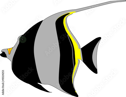 Obraz na płótnie IdolFish