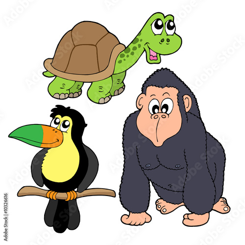 Zoo animals collection 4