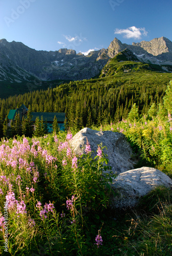 A view of Koscielec, Tatra Mountains, Poland