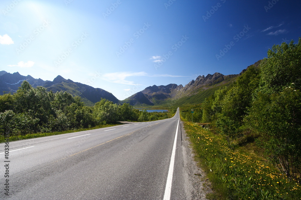 Lofoten's road