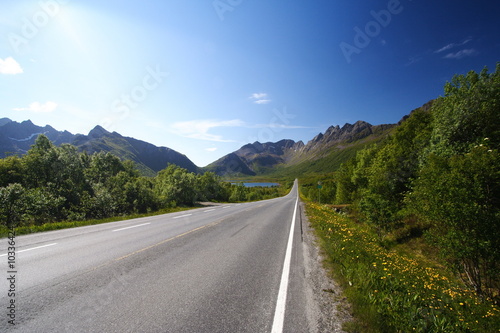 Lofoten's road photo