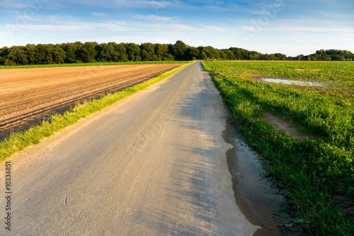 Rural landscape with an asphalt road