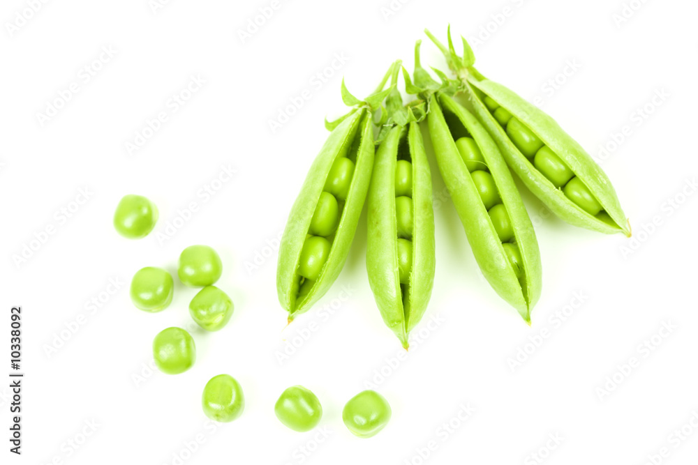 custom made wallpaper toronto digitalGreen peas