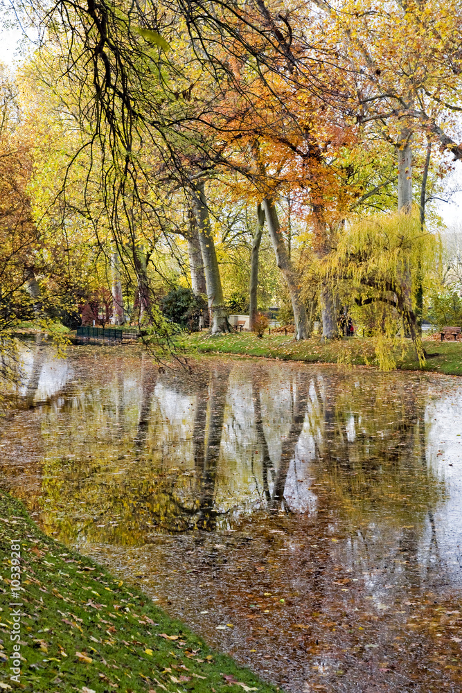 Naklejka premium paysage d'automne