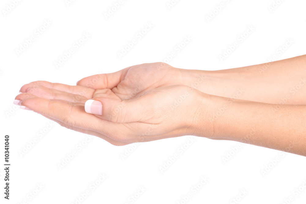 Empty female hands on the white background Empty female hands on the white background