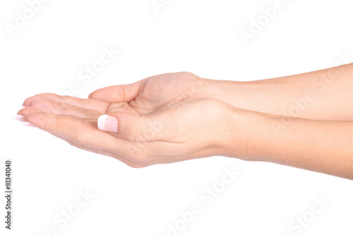 Empty female hands on the white background