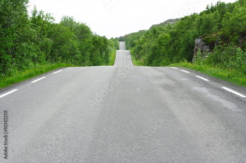 Lofoten's road photo