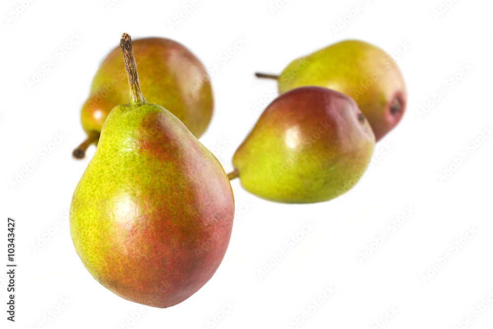 A Seckel Pear close up with three others in the background A Seckel Pear close up with three others in the background