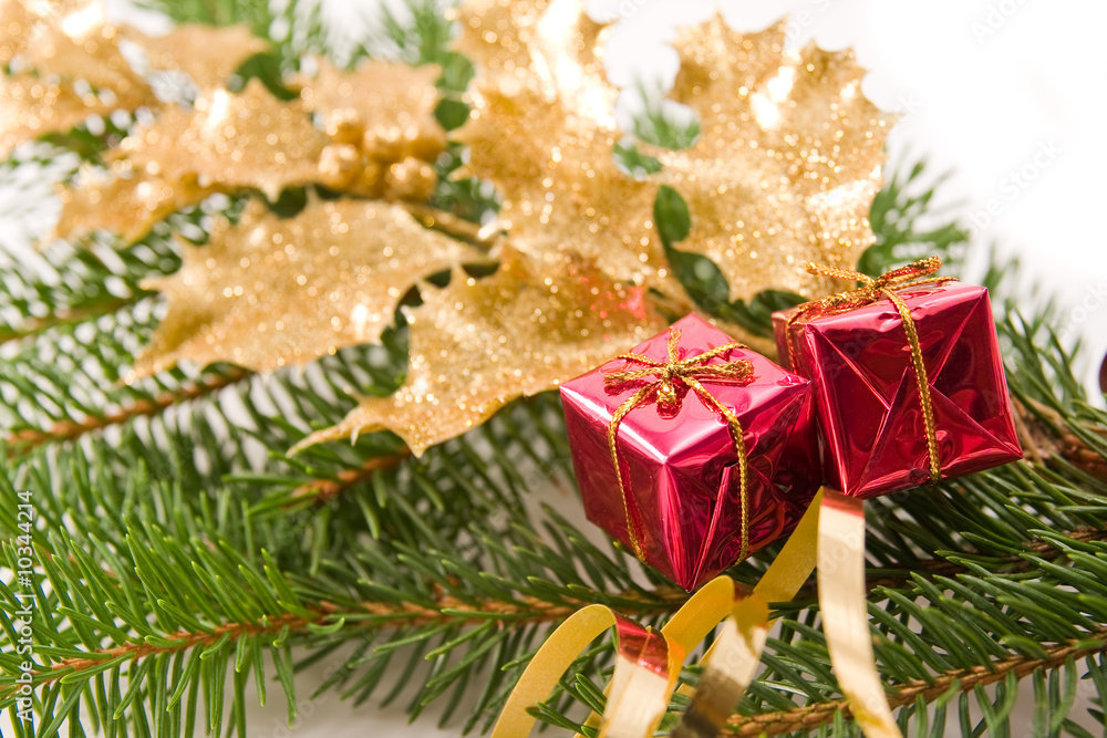 christmas decoration with golden holly