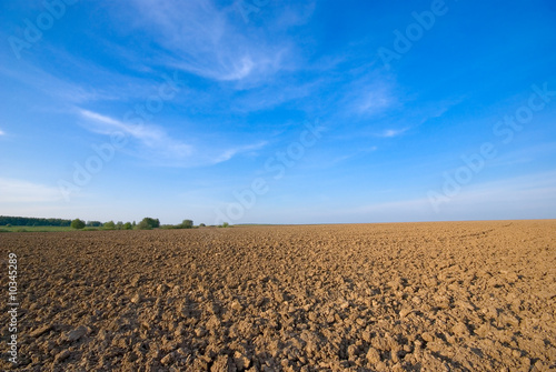 ploughed field and blue sky