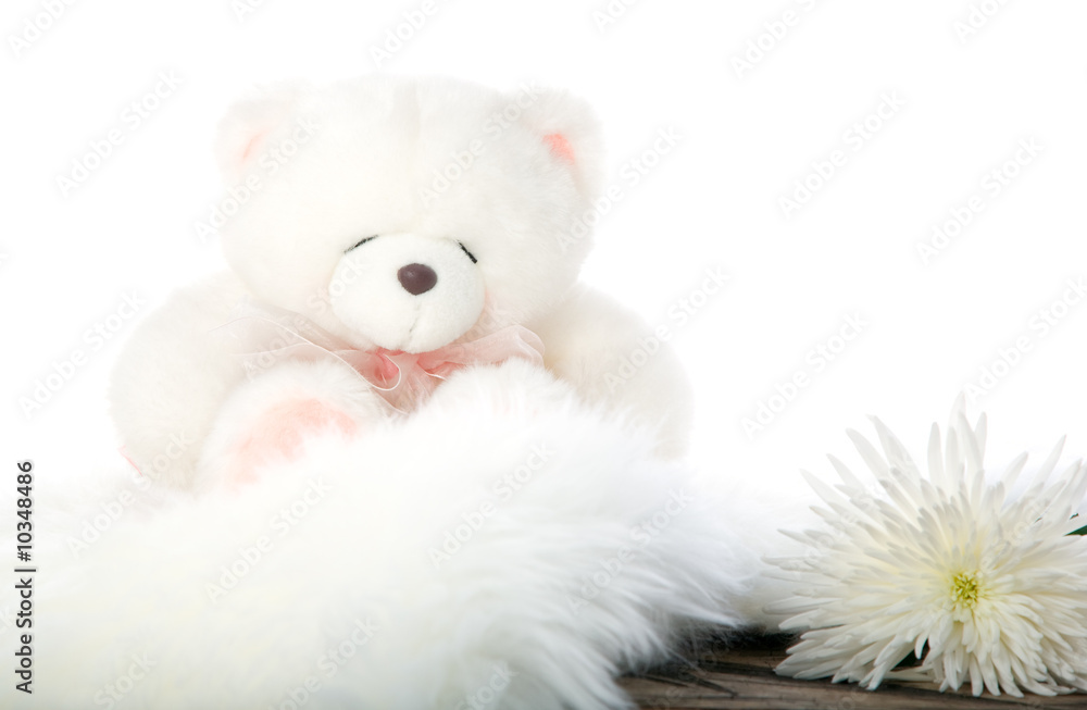 Teddy bear and white flower isolated on white Teddy bear and white flower isolated on white