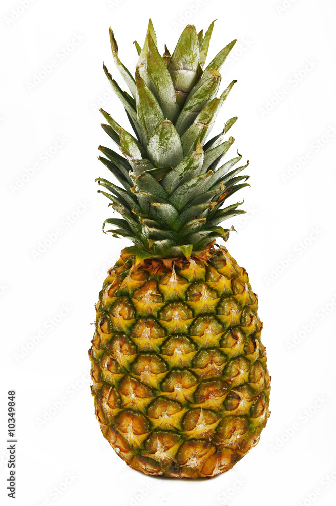 Ananas 21