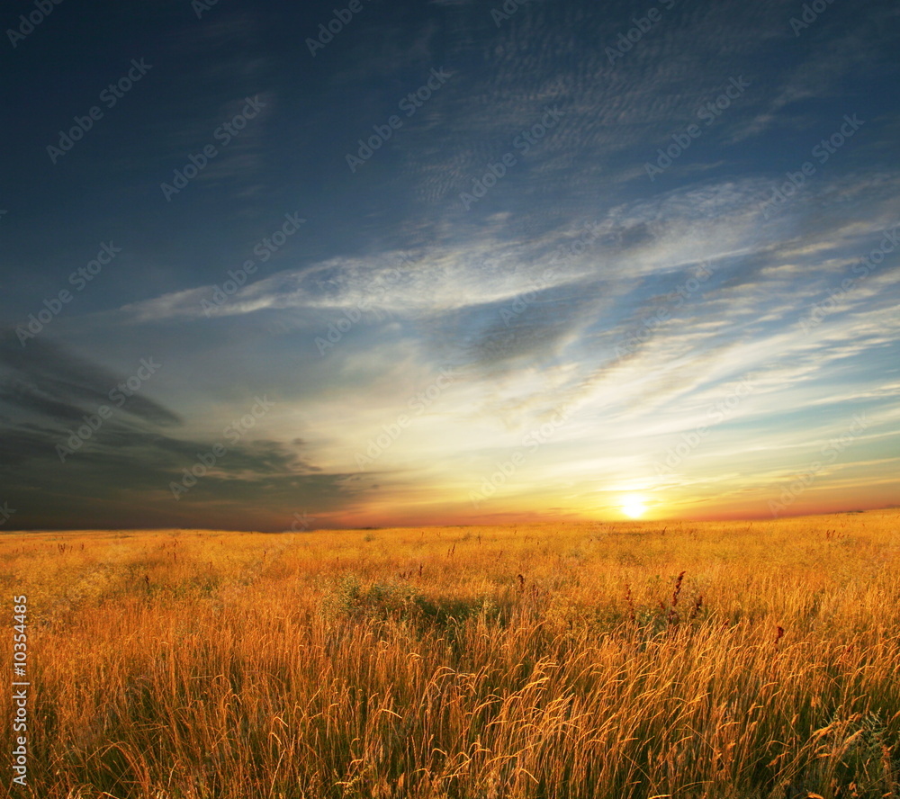 field field