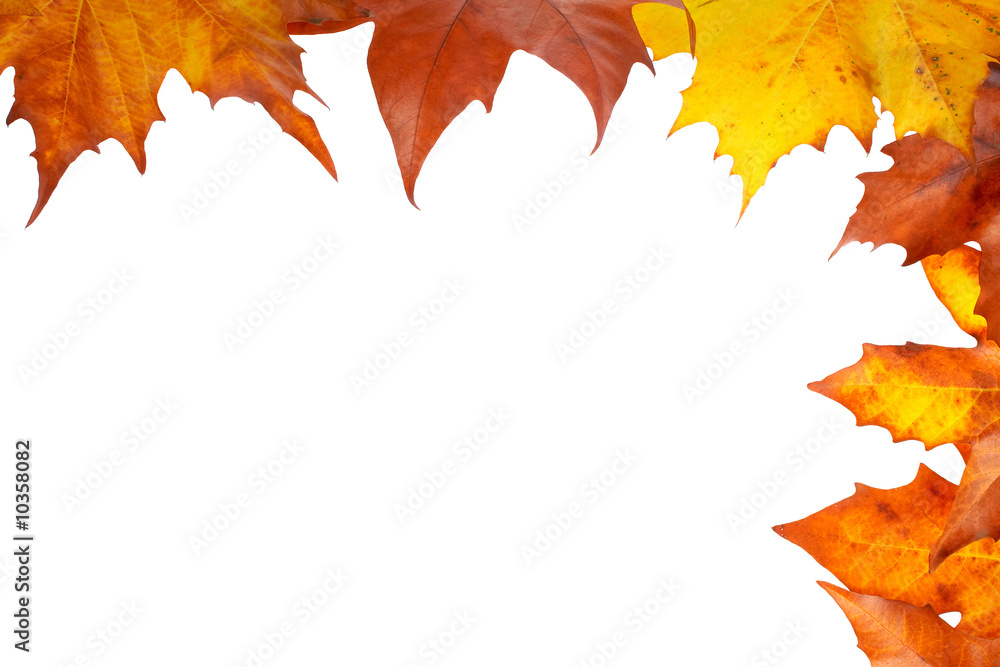Autumn corner made of leaves, isolated on white background Autumn corner made of leaves, isolated on white background