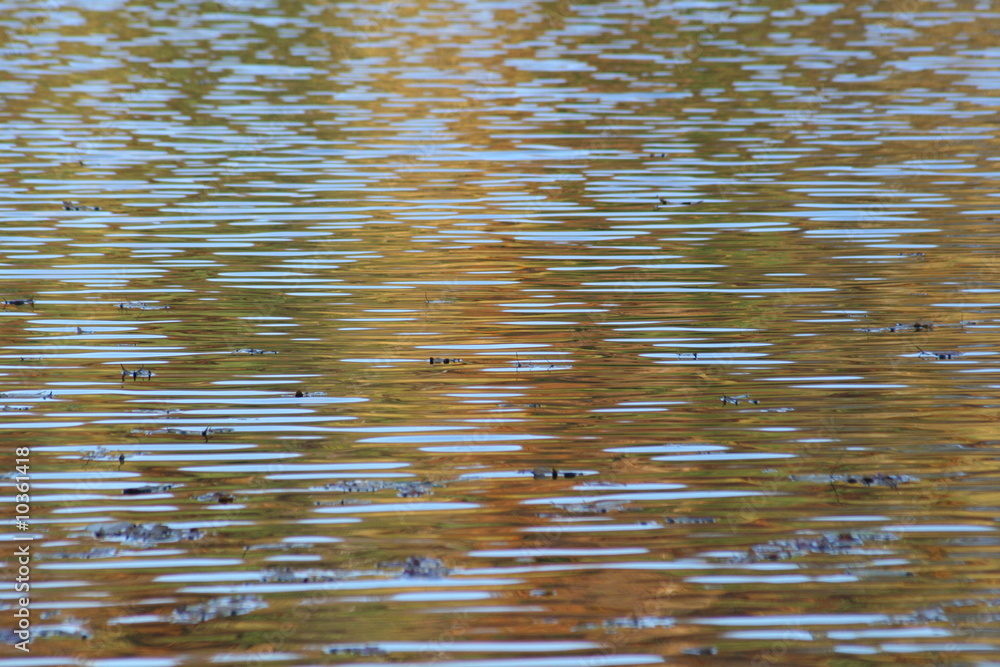 autumn lines in water autumn lines in water