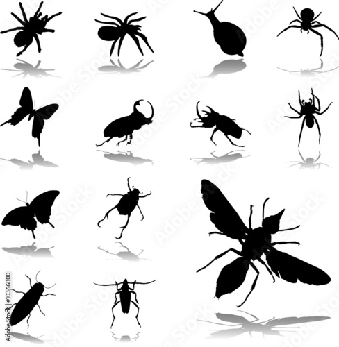 Set icons. Insects © Markov