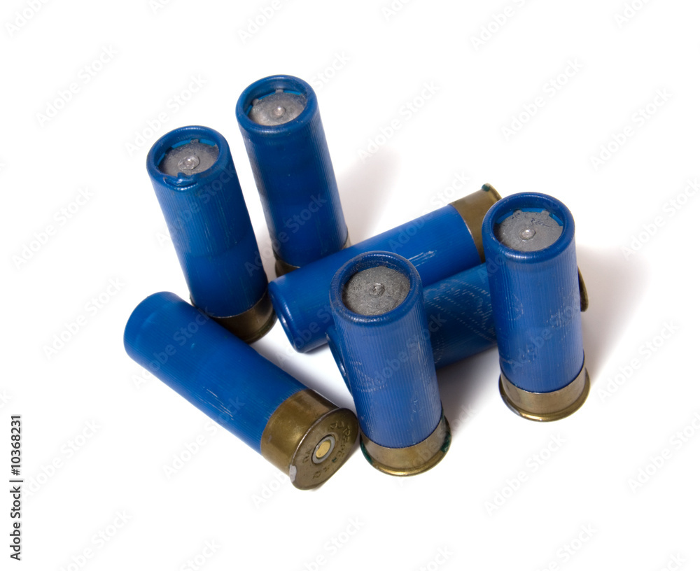 hunting cartridge isolated on white hunting cartridge isolated on white