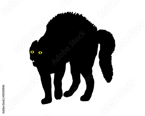 Wütende Katze