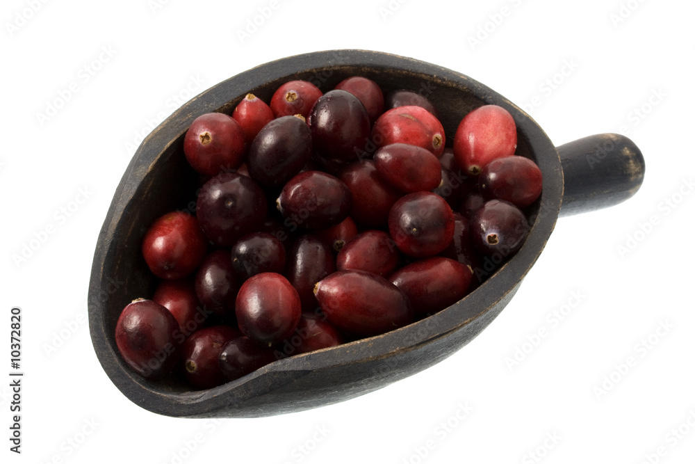 fresh cranberries on a wooden scoop, isolated on white fresh cranberries on a wooden scoop, isolated on white