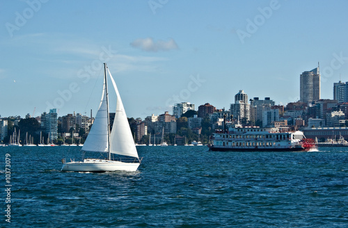 a yacht sails peacfully around sydney harbour