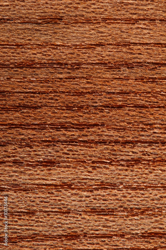 fine image closeup of natural wood background