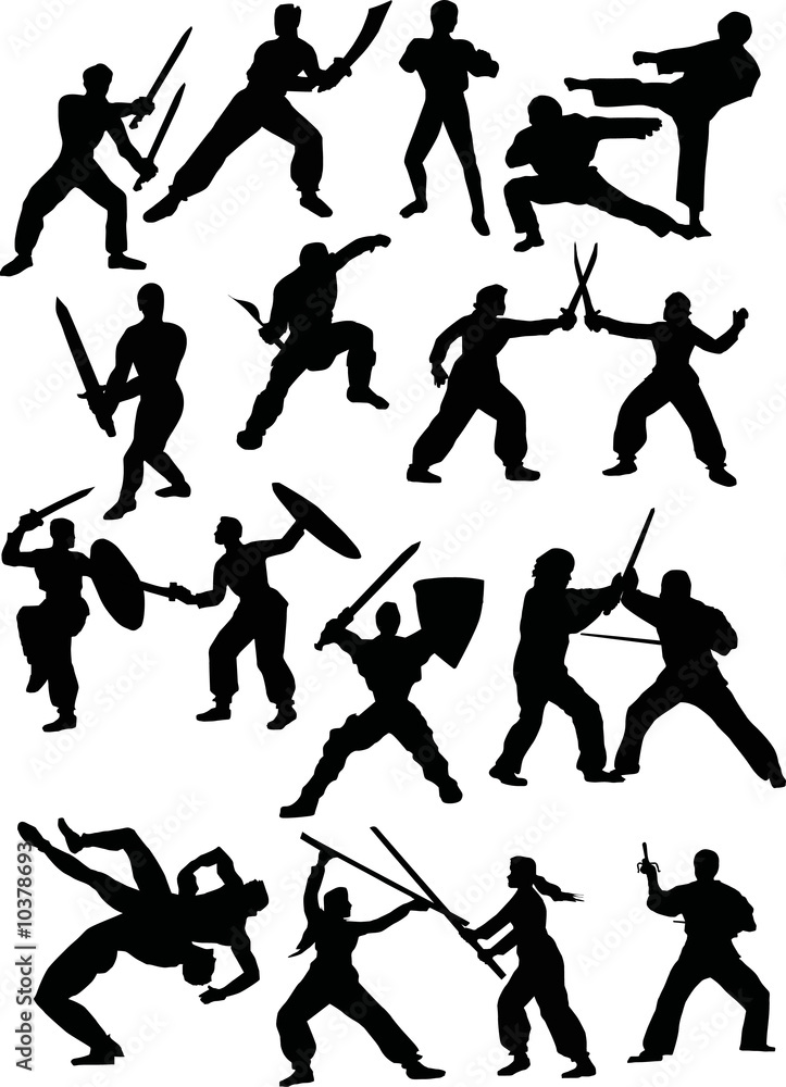 silhouettes of fighters