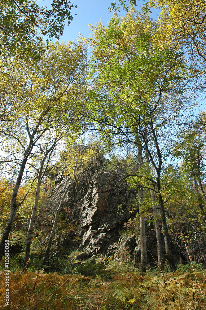 cliff in the autumn forest