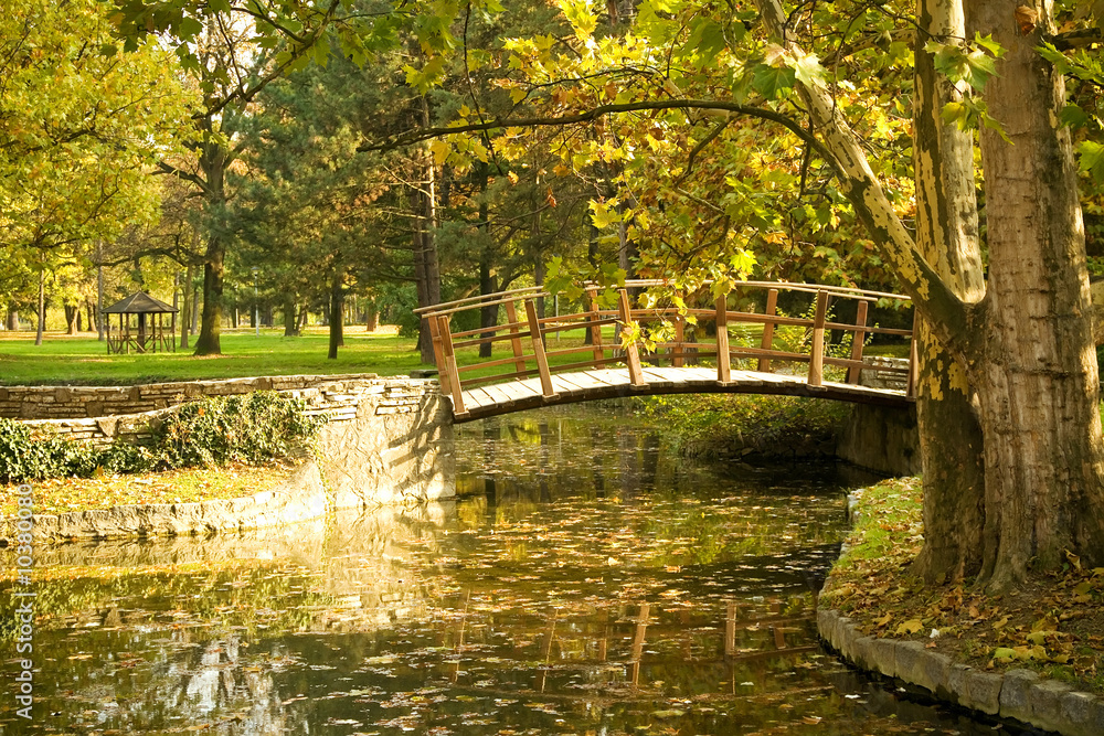 Fototapeta premium Tranquil place