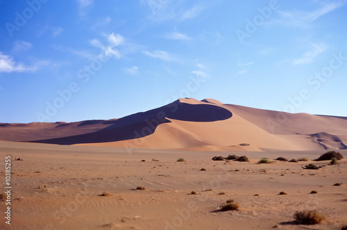 Panoramic view on sand desert